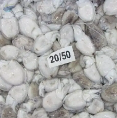 Frozen Baby Cuttlefish