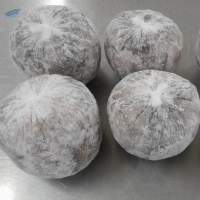 Frozen Octopus Ball Type