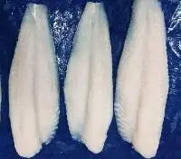Frozen Pangasius Fillet