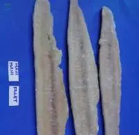 Frozen Mahi Mahi Fillet