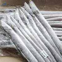 Frozen Ribbon Fish Whole