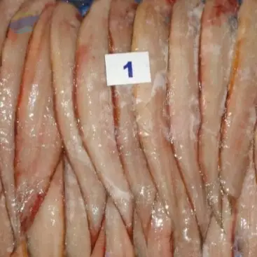 Frozen Solefish