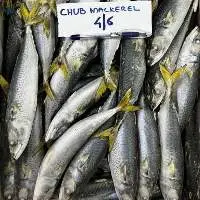 Frozen Chub mackerel
