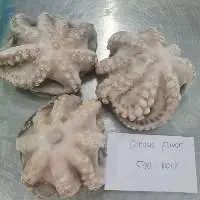 Frozen octopus whole clean Flower