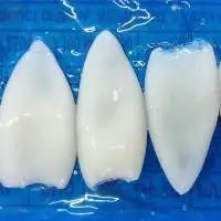 Frozen Squid Tube IQF