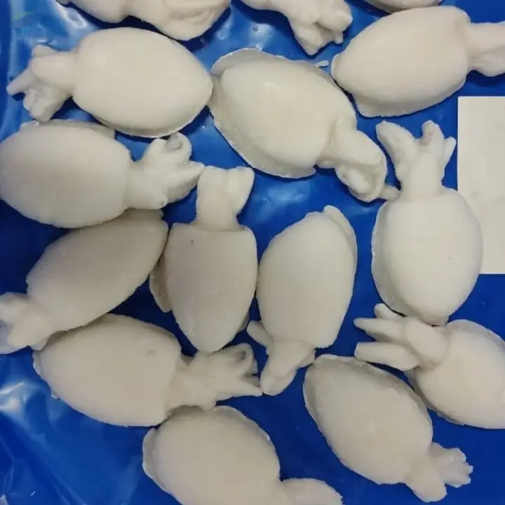 Frozen Cuttlefish Whole cleaned