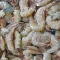 SEA COT Poovalan  Head less