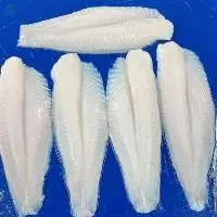 Frozen Pangasius Fillet Welltrim