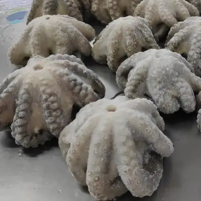 Frozen Octopus Flower