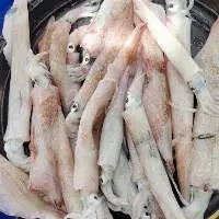 Frozen Needle squid