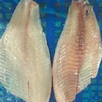 Frozen Tilapia Fillet