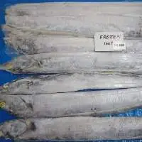 Ribbon Fish Whole Hook Caught Iwp A Grade