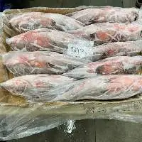 Reefcod