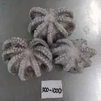 Octopus Flower Whole Cleaned IQF