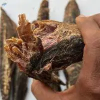Dried Tuna