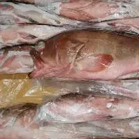 Reefcod Whole