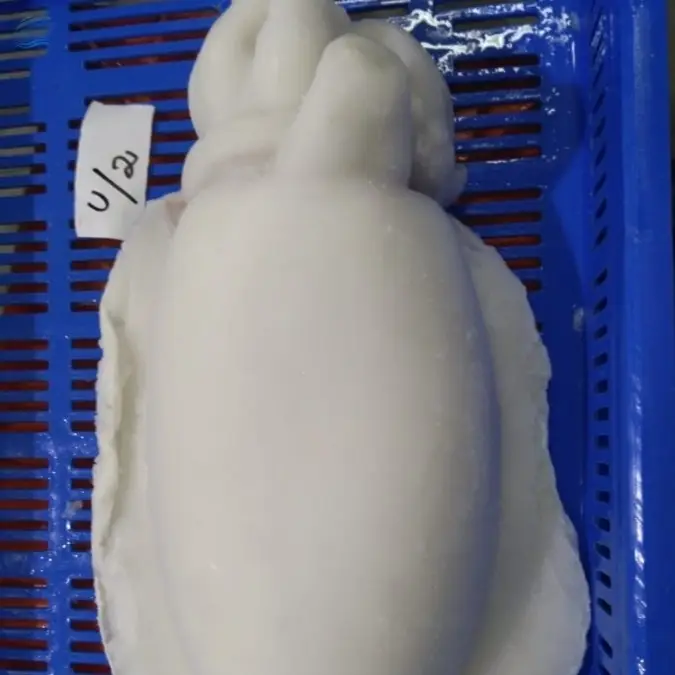 Cuttlefish Whole Cleaned