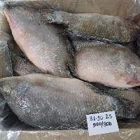 Tilapia Whole
