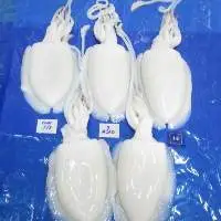 Cuttlefish Whole Cleaned