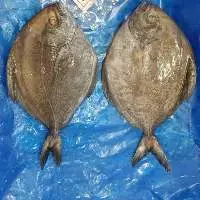 Black Pomfret