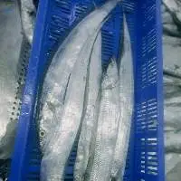 Ribbon Fish Whole Hook Catch Iwp.