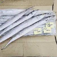 Ribbon Fish Whole Hook Catch Iwp