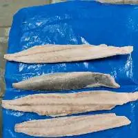 Mahimahi Fillet