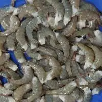 HLSO VANNAMEI
