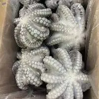 Octopus Flower Whole Cleaned IQF
