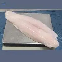 Pangasius Fillet