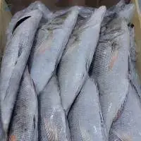 Emperor Fish Whole Round