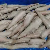 Bombay Duck Hl Tl
