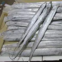 RIBBON FISH WHOLE HOOK CATCH