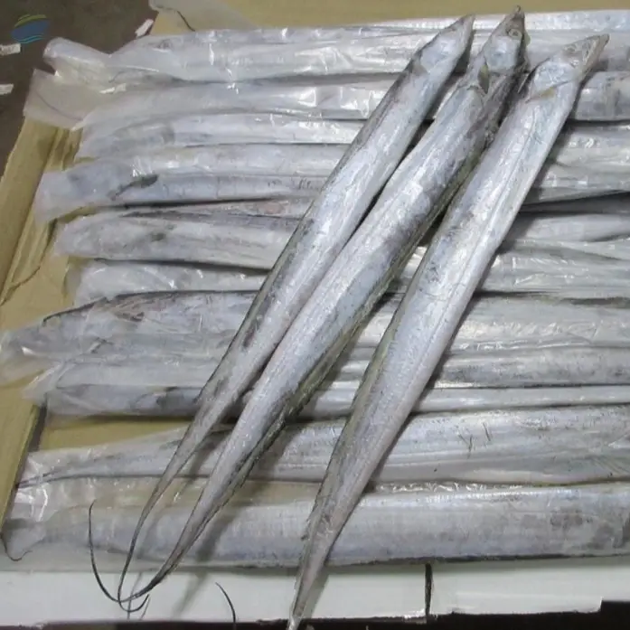 Ribbon Fish Whole Hook Catch by Eseafood Exports. Supplier from India ...