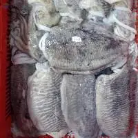 Cuttle Fish Wr Hook Catch