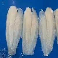 Pangasius Fillet