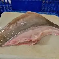 Sting Ray Wings
