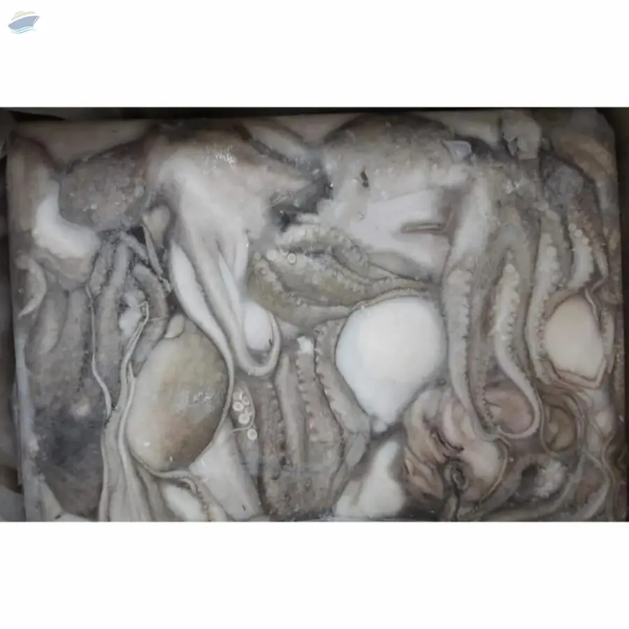 Octopus Short Arm