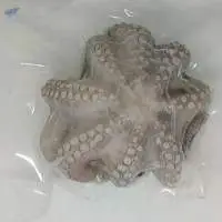 Octopus Flower IQF