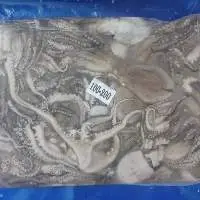 Octopus Short Arm