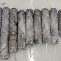 Octopus Yucatan Whole Cleaned