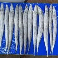 Hook Catch Ribbon Fish