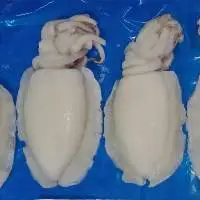 Cuttlefish Whole Cleaned