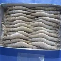 Raw Hoso Vannamei Shrimp