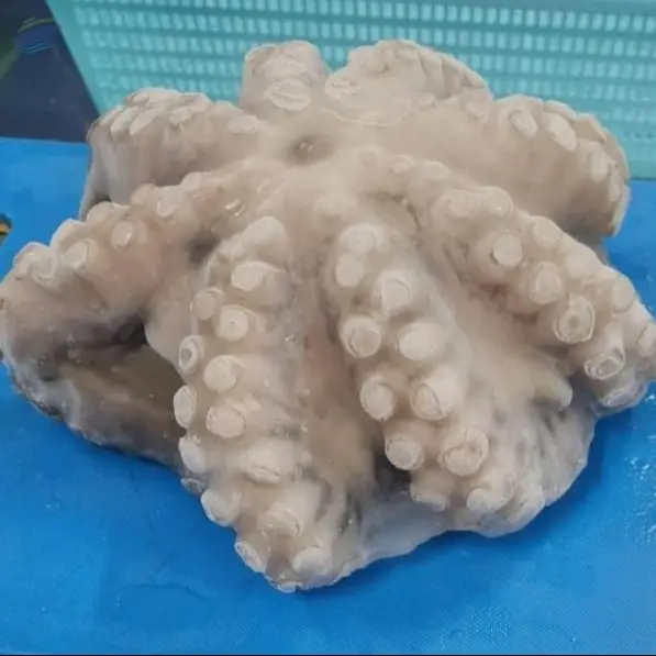 Whole Cleaned Octopus Flower