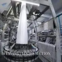 Circular Looms