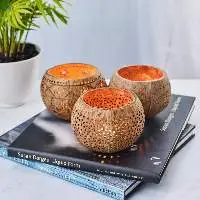 Coconut Candle Holder