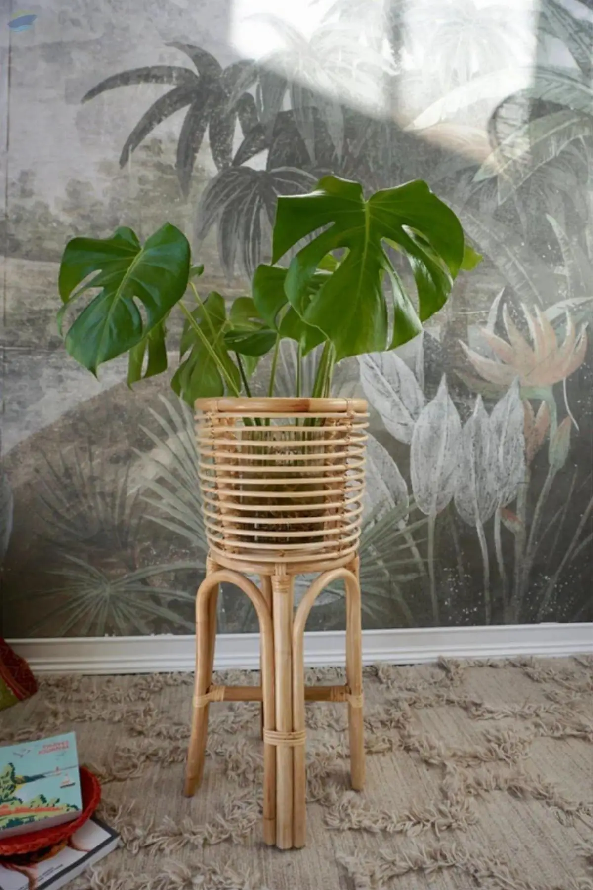 Rattan Plant Stand by Eco Farmie Export Co., Ltd.. Supplier from Viet