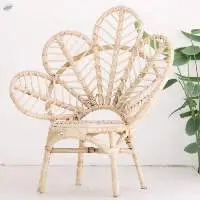 Rattan Adult Chair