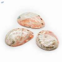 Pearl Shell